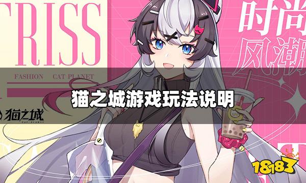 猫之城游戏好玩吗 猫之城游戏玩法说明