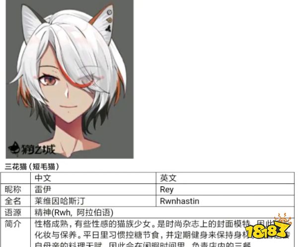 猫之城主要角色介绍 角色介绍大全