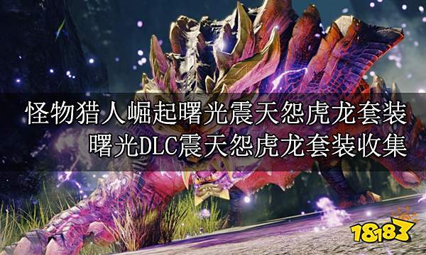 祸铠·怨防具套装—稀有度10防具技能与饰品槽防具防御力属性防御力