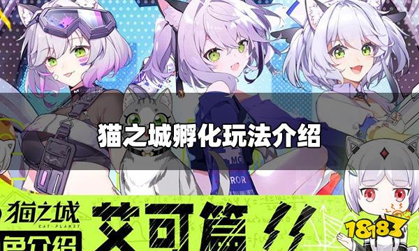 猫之城猫屋怎么孵化 孵化玩法介绍