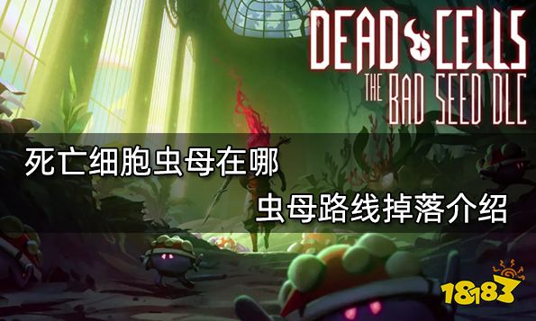 死亡细胞虫母在哪 虫母路线掉落介绍