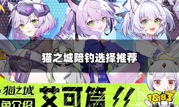 猫之城陪钓选什么卡 陪钓选择推荐