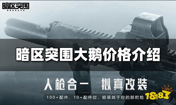 暗区突围大鹅多少钱 暗区突围大鹅价格介绍