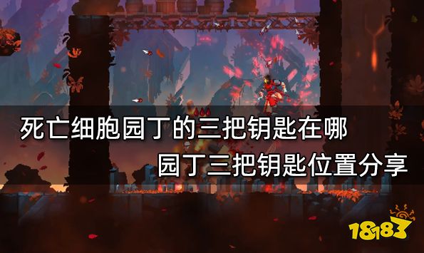 死亡细胞园丁的三把钥匙在哪 园丁三把钥匙位置分享