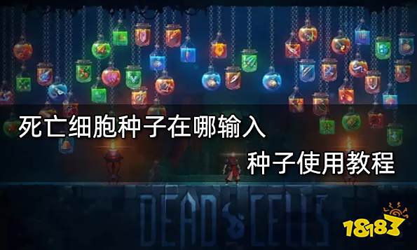 死亡细胞种子在哪输入 种子使用教程