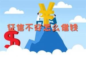 353_0G91PJB9E.jpg@q_80,w_400,l_1