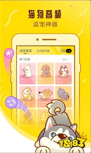 养宠帮宠物托运App