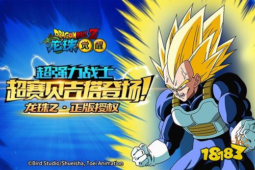 龍珠覺醒手游正版