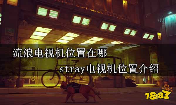 流浪电视机位置在哪 stray电视机位置介绍