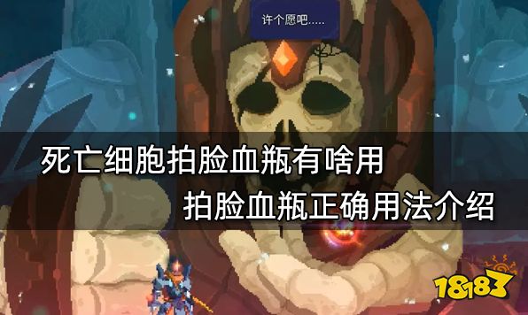 死亡细胞拍脸血瓶有啥用 拍脸血瓶正确用法介绍