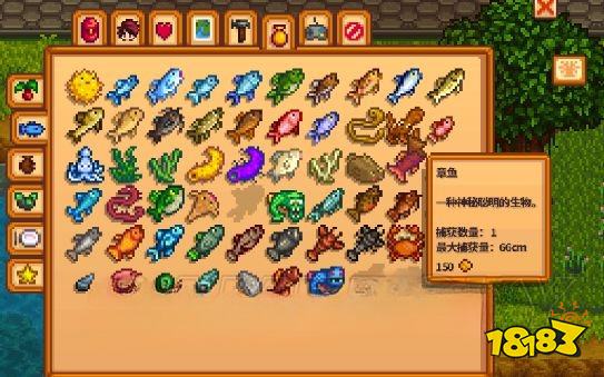 星露谷物語章魚怎么釣 章魚釣法技巧分享