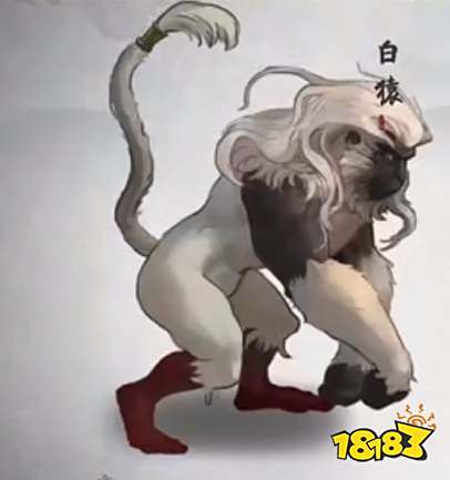 鬼谷八荒白猿怎么打 白猿打法攻略推荐