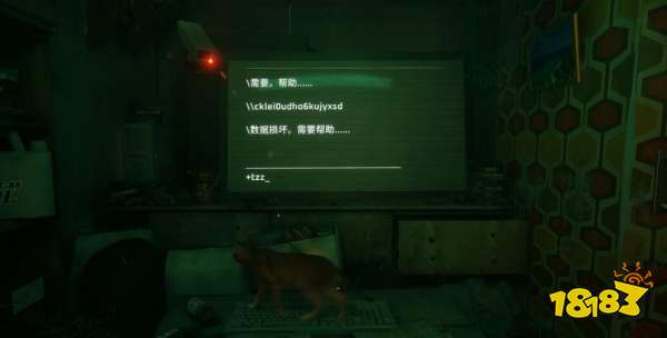 stray公寓密碼是多少 迷失公寓密碼解密攻略