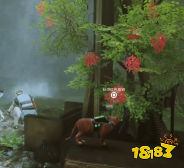 stray植物徽章怎么獲得 迷失植物徽章獲得方法