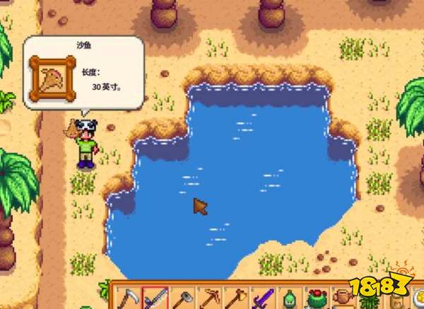 星露谷物語沙魚怎么釣 沙魚釣法技巧分享
