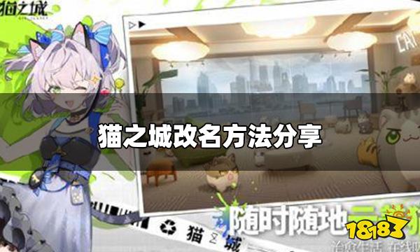 猫之城怎么改名 改名方法分享