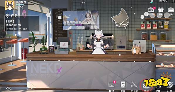 猫之城猫球怎么登记集会 猫球登记集会方法