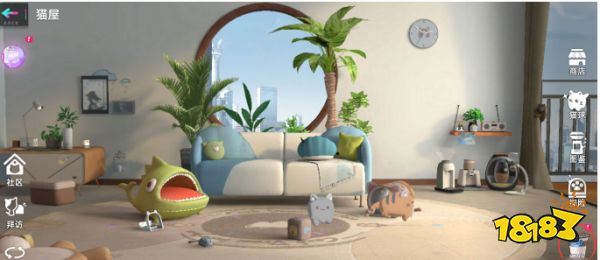 猫之城猫球怎么登记集会 猫球登记集会方法