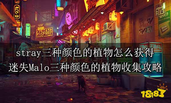 stray三种颜色的植物怎么获得 迷失Malo三种颜色的植物收集攻略