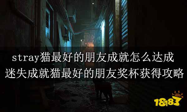 stray猫最好的朋友成就怎么达成 迷失成就猫最好的朋友奖杯获得攻略