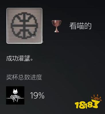 stray看喵的成就怎么達成 迷失成就看喵的獎杯獲得攻略