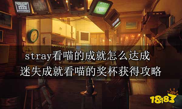 stray看喵的成就怎么达成 迷失成就看喵的奖杯获得攻略