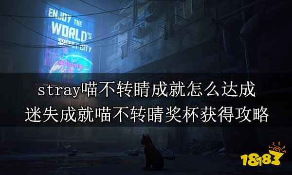 stray喵不转睛成就怎么达成 迷失成就喵不转睛奖杯获得攻略