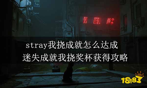 stray我挠成就怎么达成 迷失成就我挠奖杯获得攻略