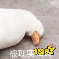 网易北上进军再次受挫,不到一年工作室解散