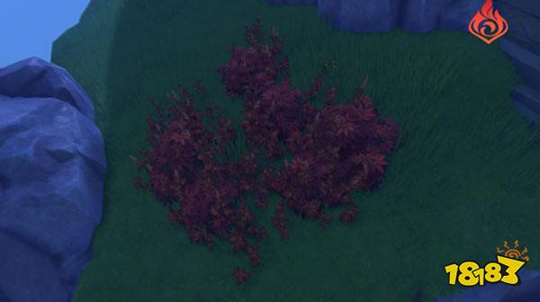 原神2.8海岛危危岛元素方碑解密攻略 2.8海岛危危岛元素方碑怎么解