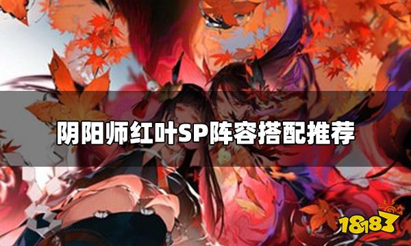 阴阳师红叶SP阵容怎么搭配 红叶SP阵容搭配推荐