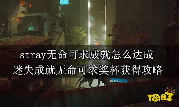 stray无命可求成就怎么达成 迷失成就无命可求奖杯获得攻略