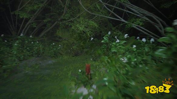 stray墻內(nèi)章節(jié)劇情要做什么 迷失墻內(nèi)章節(jié)流程攻略