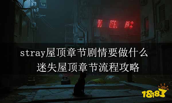 stray屋顶章节剧情要做什么 迷失屋顶章节流程攻略