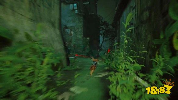 stray死路章節劇情要做什么 迷失死路章節流程攻略