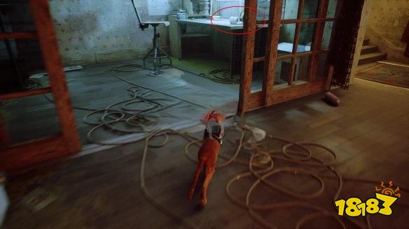 stray死路章節劇情要做什么 迷失死路章節流程攻略