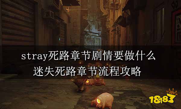 stray死路章节剧情要做什么 迷失死路章节流程攻略