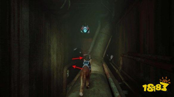 stray下水道章節劇情要做什么 迷失下水道章節流程攻略