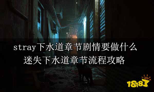 stray下水道章节剧情要做什么 迷失下水道章节流程攻略