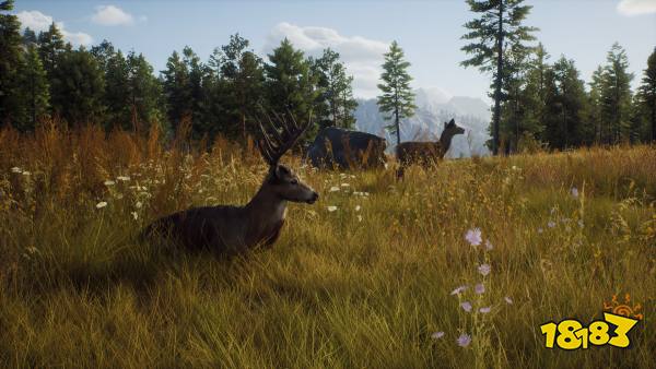 狩猎之道是哪家公司做的 开发商介绍