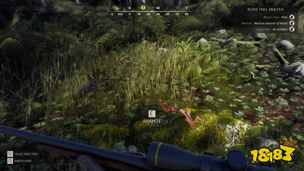 狩猎之道在哪买 购买方法介绍