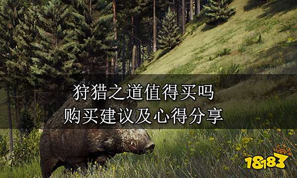 狩猎之道值得买吗 购买建议及心得分享