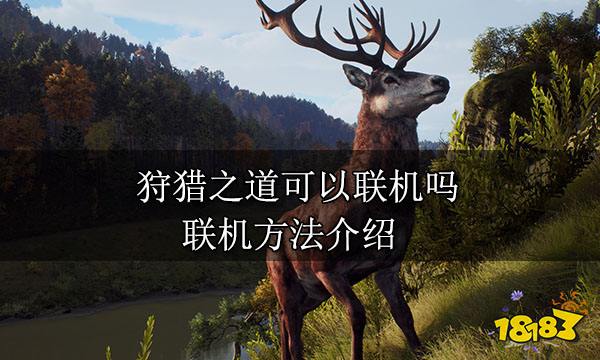 狩猎之道可以联机吗 联机方法介绍