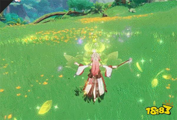 原神草主技能介绍 草主技能一览