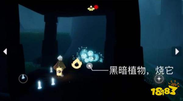 光遇今日7.25每日任务是什么 7月25日每日任务攻略2022