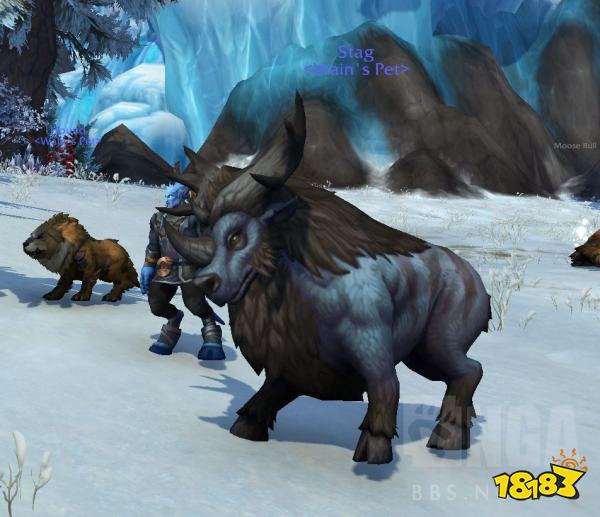 魔兽世界10.0可驯服宠物有哪些 10.0版本部分可驯服宠物一览