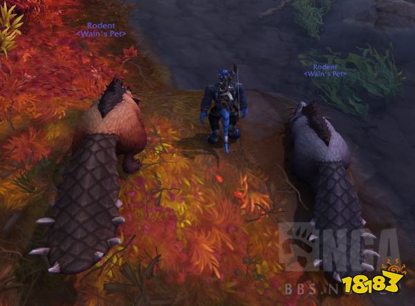 魔兽世界10.0可驯服宠物有哪些 10.0版本部分可驯服宠物一览