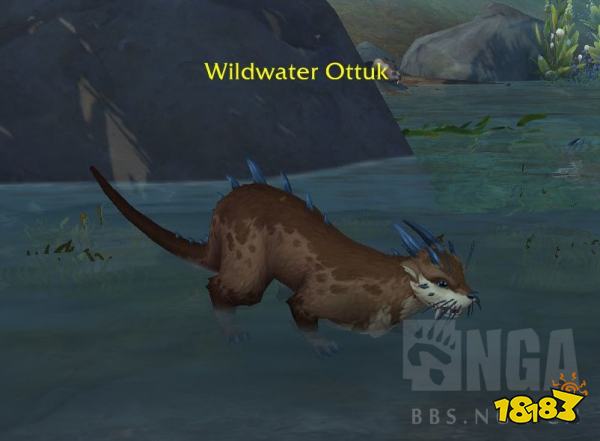 魔兽世界10.0可驯服宠物有哪些 10.0版本部分可驯服宠物一览