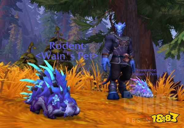 魔兽世界10.0可驯服宠物有哪些 10.0版本部分可驯服宠物一览