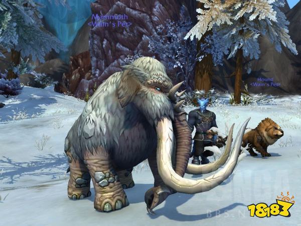 魔兽世界10.0可驯服宠物有哪些 10.0版本部分可驯服宠物一览